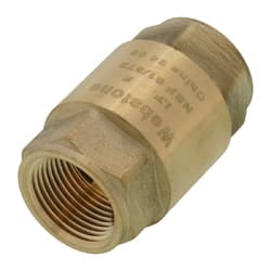 Webstone H-10743W 3/4 in Threaded Spring Loaded Check Valve, Lead Free