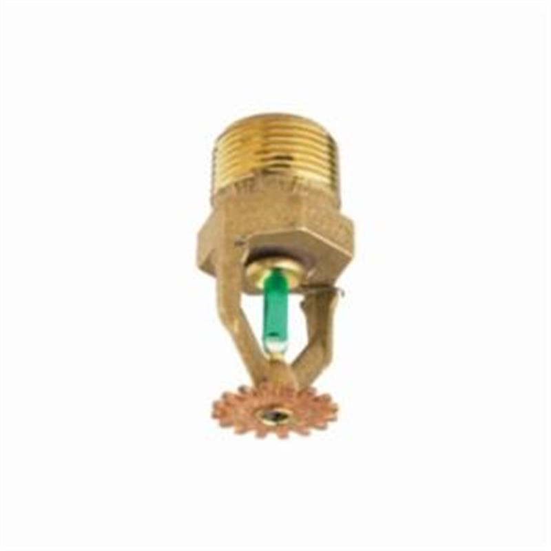 Product Alternate Image 1